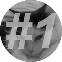 number-1 Instinct-Cat-Food-Review-1}}