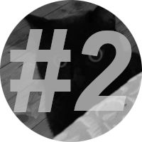 number-2 Instinct-Cat-Food-Review-2}}