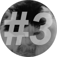 number-3 Instinct-Cat-Food-Review-3}}