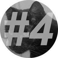 number-4 Instinct-Cat-Food-Review-4}}