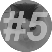 number-5 Instinct-Cat-Food-Review-5}}