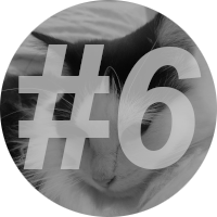 number-6 Instinct-Cat-Food-Review-6}}