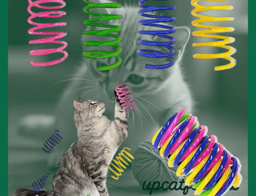 Unleashing Fun with AGYM Colorful Plastic Spring Cat Toys: The Perfect Interactive Indoor Adventure for Cats and Kittens