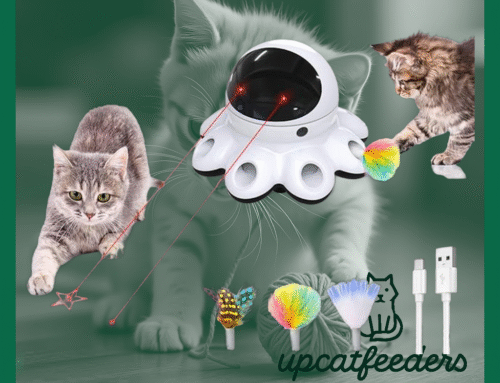 Exciting Playtime with ORSDA Cat Laser Toy: The Ultimate 2-in-1 Interactive Kitten Toy Review