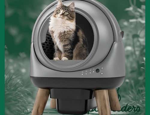 Experience Spotless Cleanliness with ZHMZ G1 Automatic Self-Cleaning Litter Box: A Robotic Solution for Cat Litter