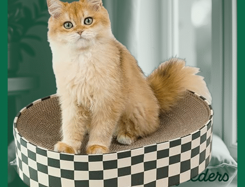 Unleash the Purr-fect Review: The 2-in-1 Round Kittens Scratcher Cardboard – Your Indoor Cat’s Ideal Claw Grinder and Furniture Protector