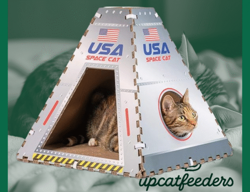 Discover the Ultimate Retreat with Pet Craft Supply Space House: The Must-Have Cardboard Cat House for Feline Fun