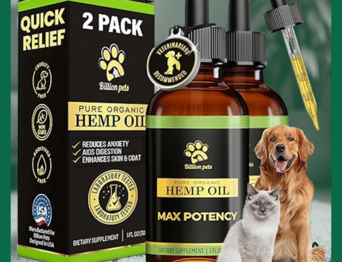 Unleashing Comfort: A Comprehensive Review of Hemp Oil for Dogs and Cats – A Miracle Solution for Anxiety, Pain, and More